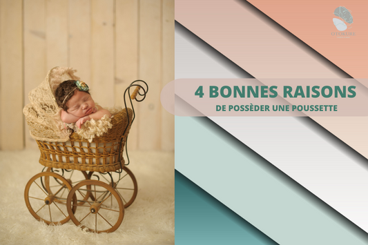 4 BONNES RAISONS DE POSSÈDER UNE POUSSETTE