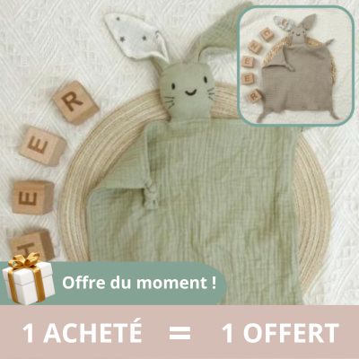 doudou-et-compagnie-lapin