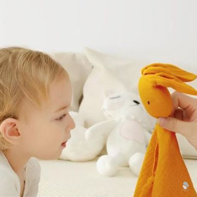 doudou lapin lapinou ami sommeil